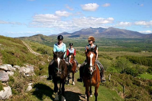 Bed and Breakfast Tatler Jack Killarney Exterior foto